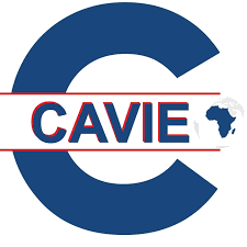 Centre Africain de Veille et d'Intelligence Economique - CAVIE