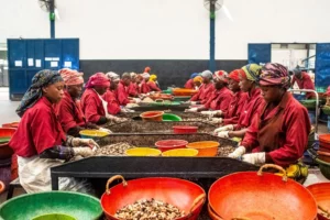 Afrique subsaharienne : la nouvelle terre promise du commerce ?