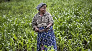 Bénin : le secteur agricole boosté par un soutien de 150 millions $ de la Banque mondiale