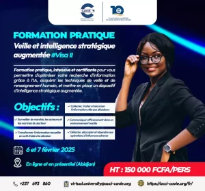 Veille et Intelligence Stratégique Augmentée