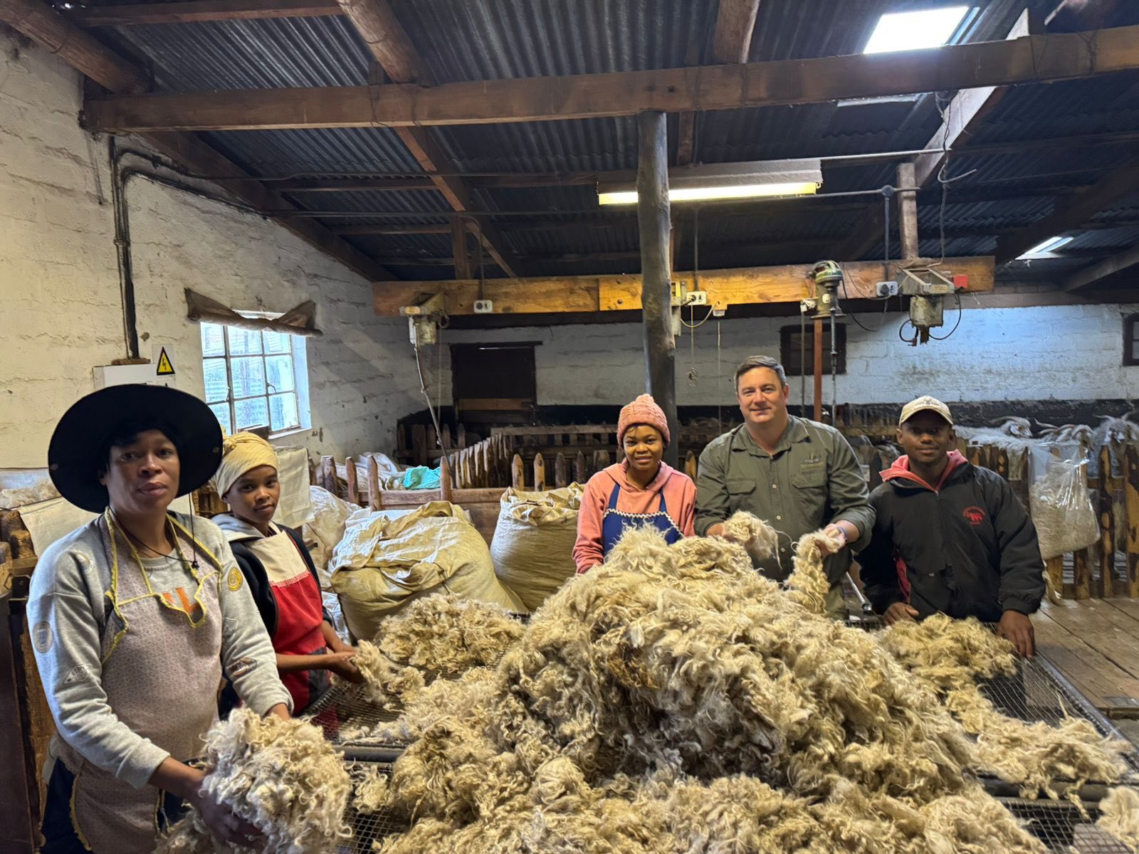 You are currently viewing L&rsquo;Afrique du Sud consolide son hégémonie sur le marché mondial du mohair