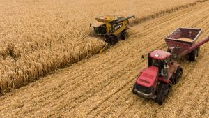 L’Italie et l’Afrique scellent un pacte agricole