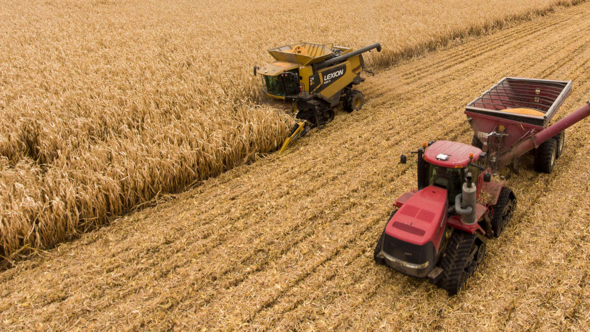 Lire la suite à propos de l’article L’Italie et l’Afrique scellent un pacte agricole
